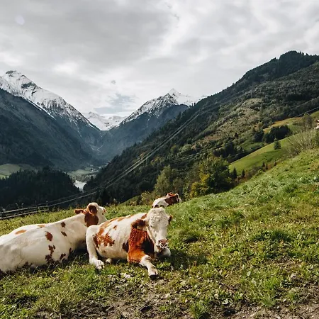 Baranek - Baranek Casa de hóspedes 3*