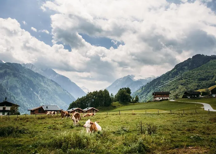 Baranek - Baranek Гостевой дом Капрун