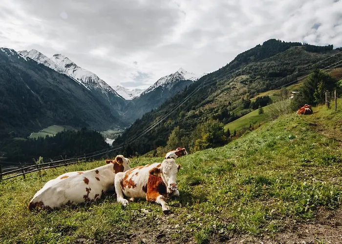 Baranek - Baranek Gasthuis 3*